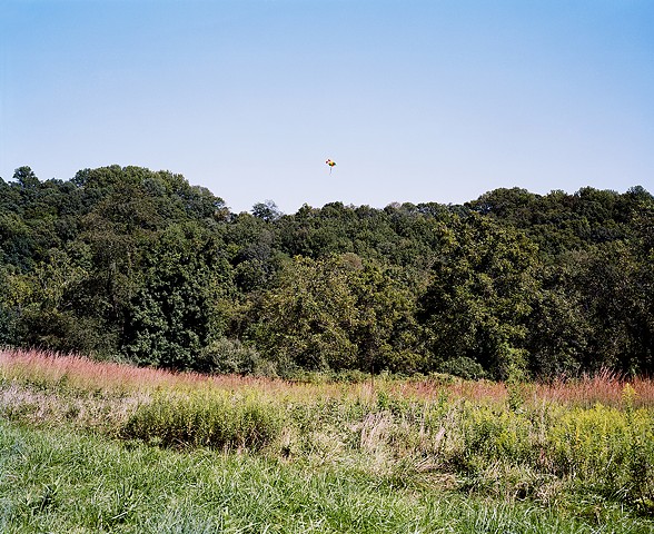 A Cluster of Helium Balloons Drifts Over the Forest 