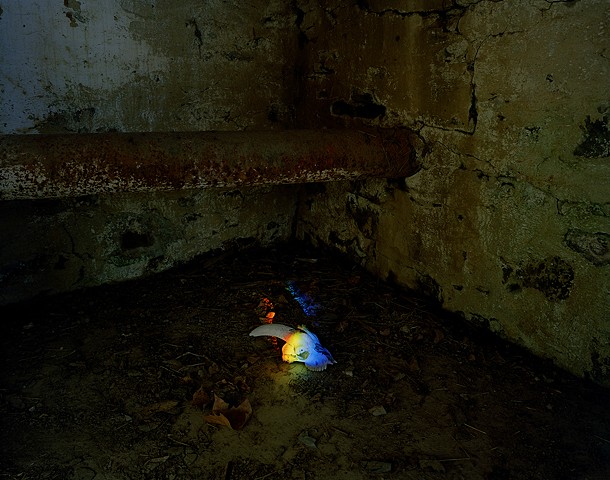 A Skull and Rainbow in a Subterranean Room
