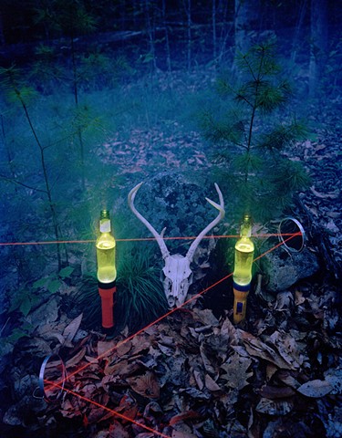 Laser, Flashlights, Deer Skull and Green Bottled Beer