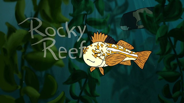 Rocky Reef