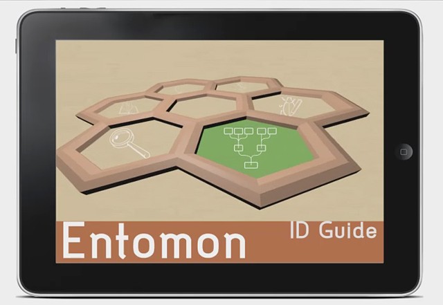 Entomon Interactive Field Guide Tablet App. Prototype