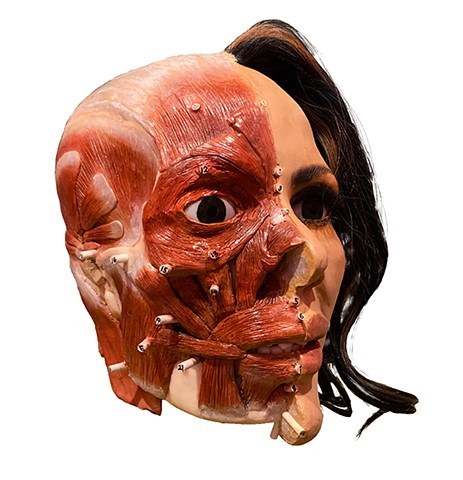Forensic Reconstruction Sculpture by Karlee D. Rogers