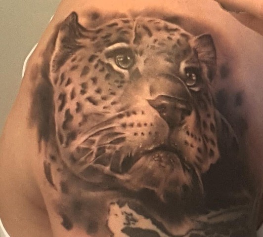 hand cheetah
