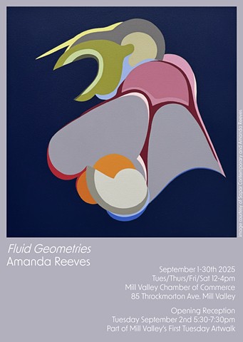 Fluid Geometries