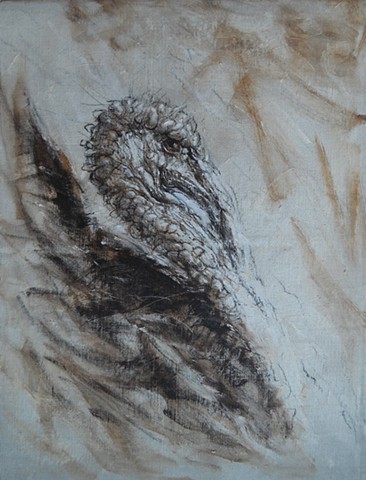 Turkey, Thanksgiving