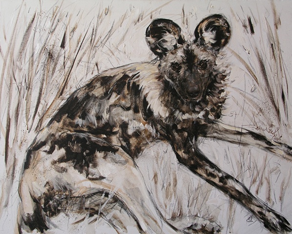 African wild dog