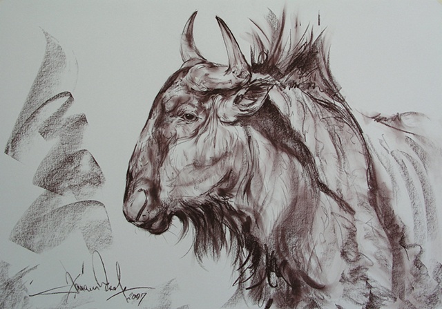 Alluring Silhouette - II