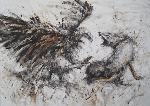 Vulture, black-backed jackal