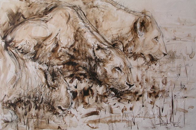 Mistique Reflections