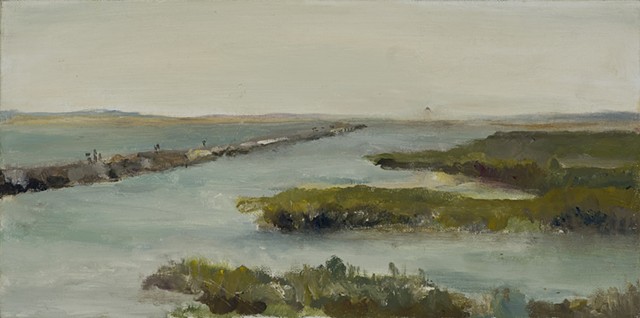 Cape Marshes
