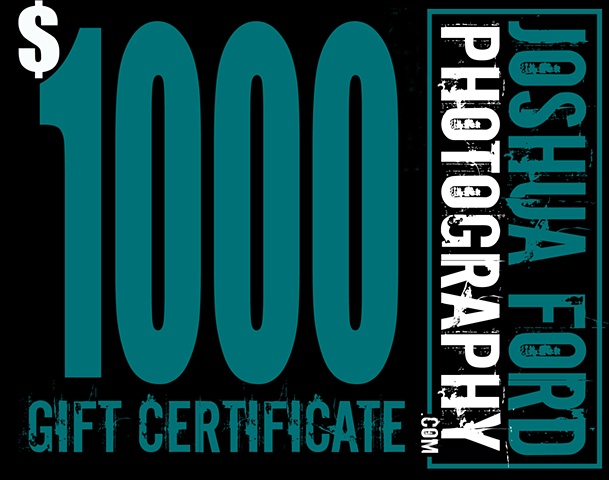 $1000 Gift Certificate!  Click below: