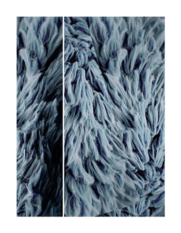 Fabric Coral  (for B/K/B)