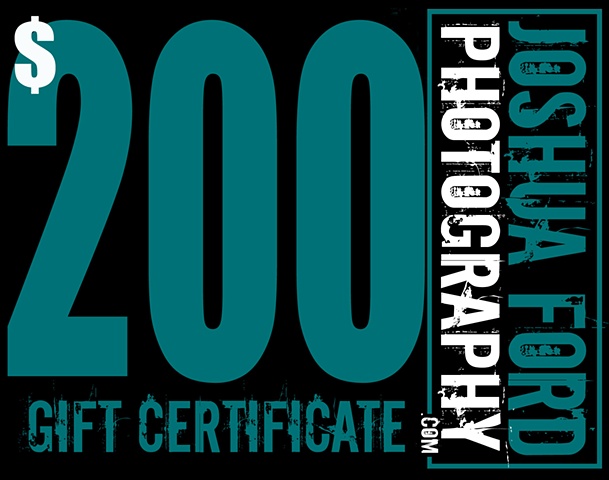 $200 Gift Certificate!  Click below: