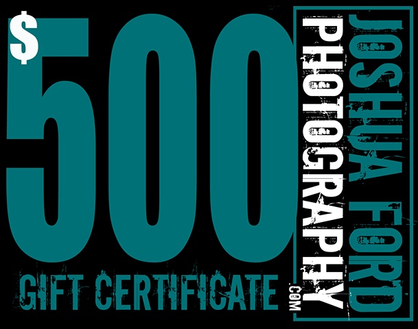 $500 Gift Certificate!  Click below: