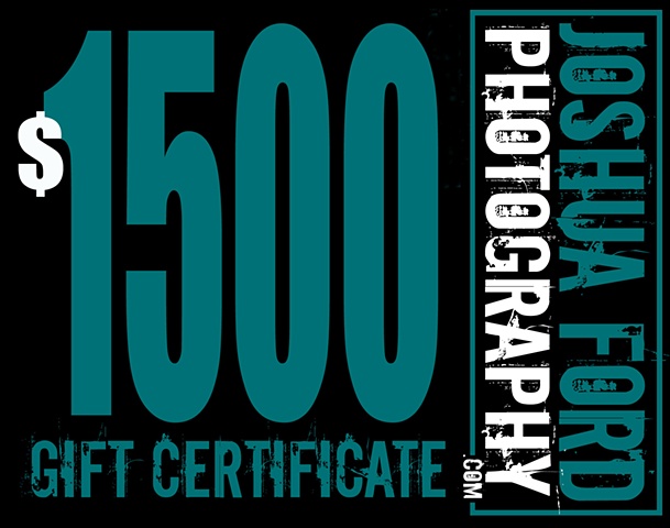 $1500 Gift Certificate!  Click below: