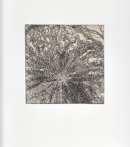 Knitted Hollow