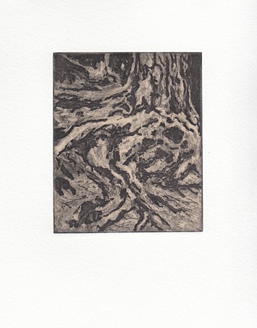 Mill River Tree