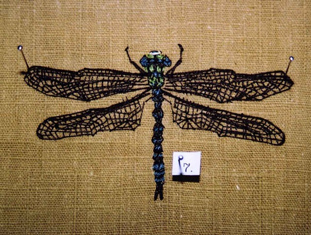 Dragonfly (detail)