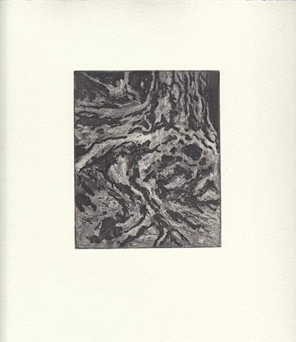 Mill River Tree