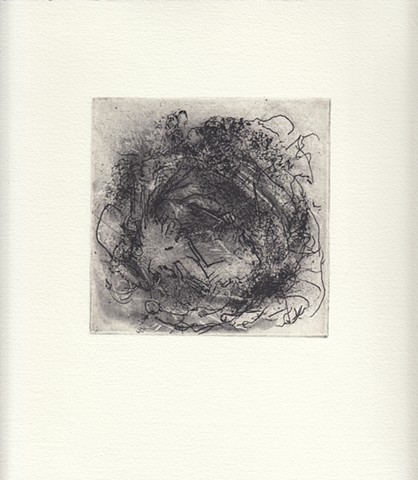 Tiny Nest