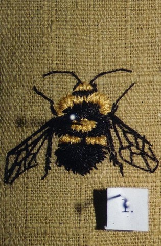 Bumblebee (detail)