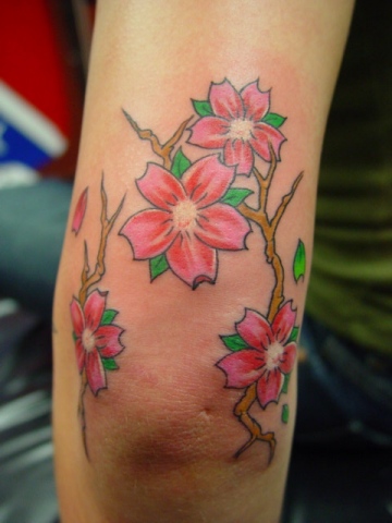 cherry blossoms on the elbow