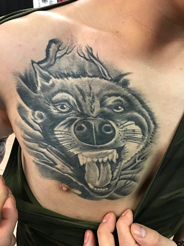 Wolf on chest healed.
