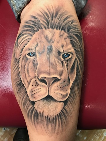 Lion healed