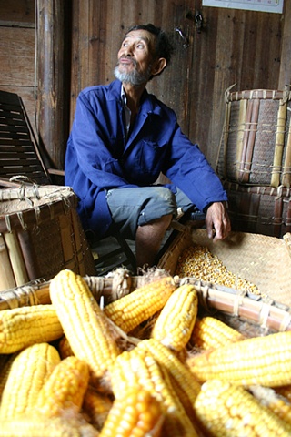 Husking Corn, Anhui, China