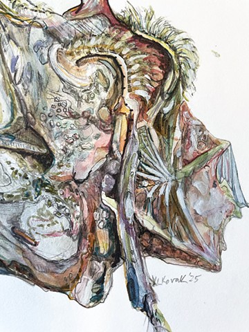 Bundle 6.23 (Detail)