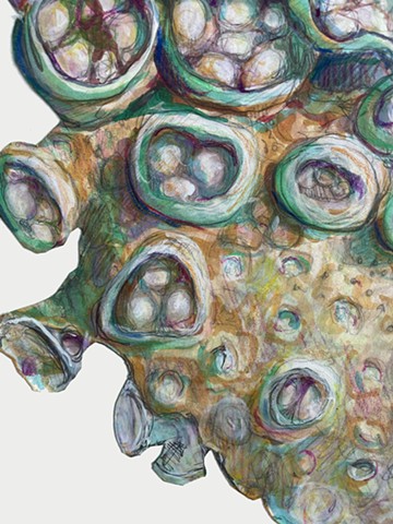 Bundle 3.27 (detail)