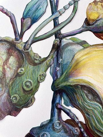Bundle 6.31 (detail)