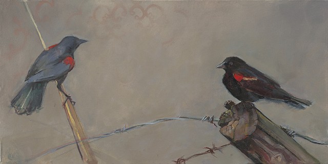 Red-winged Black Birds