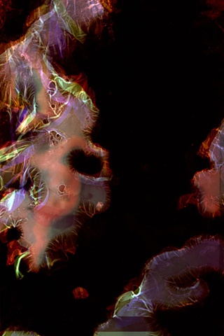 bacteria film portrait identity urizen freaza pigment layers destruction series negative slide trascience fragility
