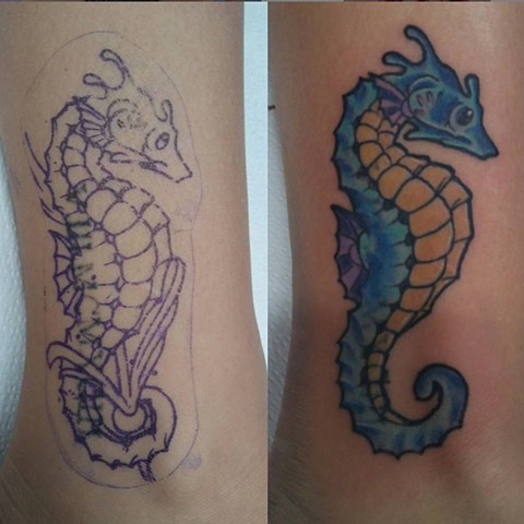 sea horse cover up