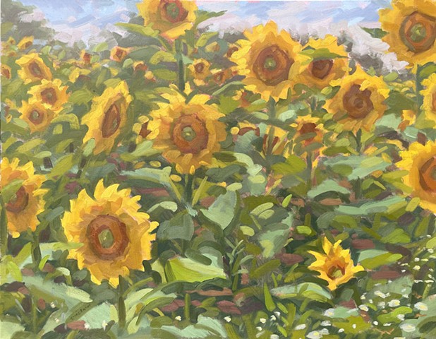 Sunflower Field