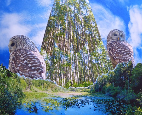 "Owls Over Fisher Pond" - Photo Collage by Vashon Artist John Schuh