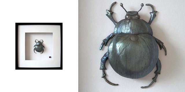 Arabica Sighted scarab