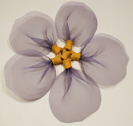 Purple Wallflower