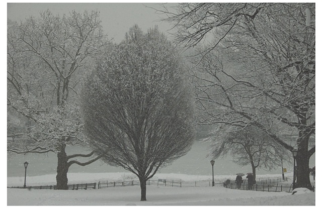 Central Park Winter Storm