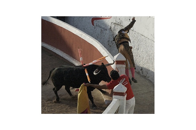 Bullfight #9