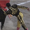 Bullfight #1