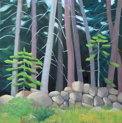 oil painting of woods, trees, rocks, Damariscotta, Maine