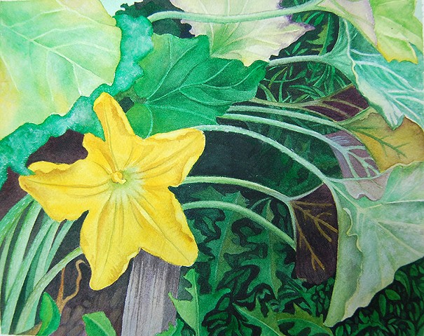 watercolor painting of yellow squash blossom