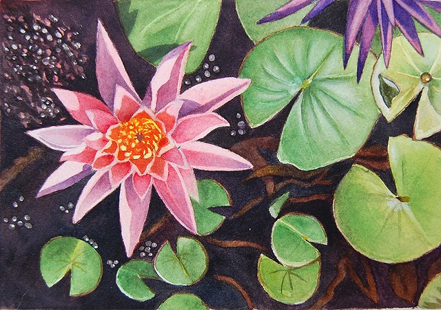 Watercolor painting of pink waterlily