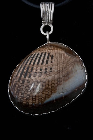 025 Fossil Clam with Sterling