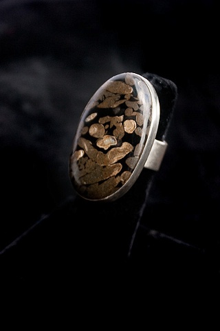 045 Fossilized Terino Wood and Sterling Ring