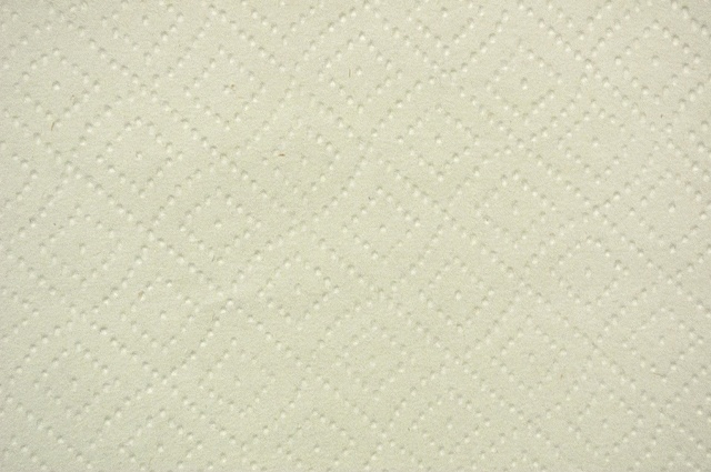 Paper Towel (detail)
