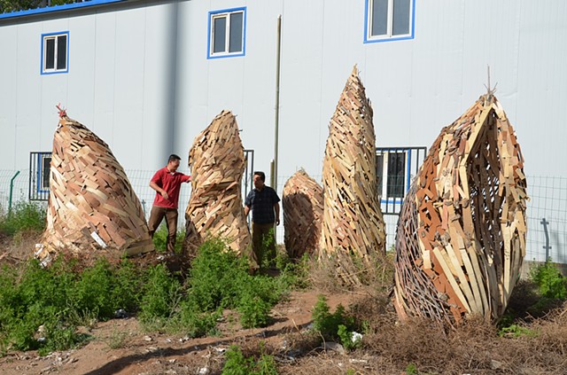 Wood garbage come to life as giant tree sprouts