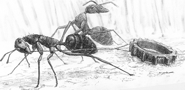 Matt Stemler's charcoal of ants pulling a cog